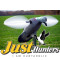 Mojo Pigeon Decoy