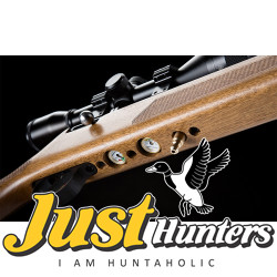 Artemis Airgun M30 PCP