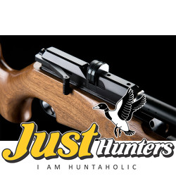 Artemis PCP Airgun M16A .22