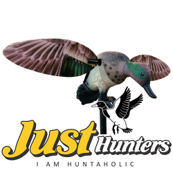 Green Wing Teal with New Wings