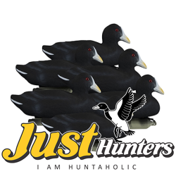 Higdon Foam Filled Coot Decoys 6 Pc