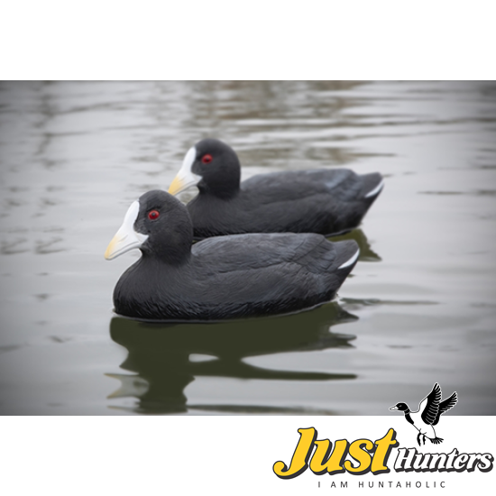 Higdon Foam Filled Coot Decoys 6 Pc