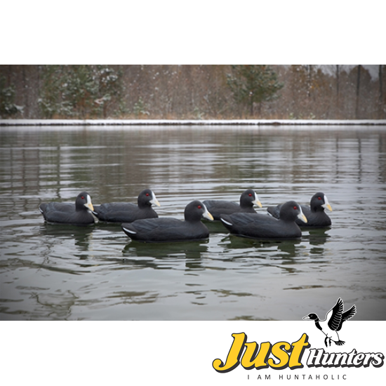 Higdon Foam Filled Coot Decoys 6 Pc