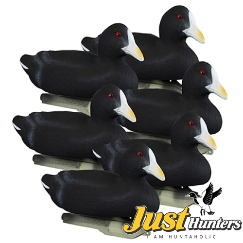 Buy Higdon Foam Filled Coot Decoys 6 Pc Online Best Price in Pakistan