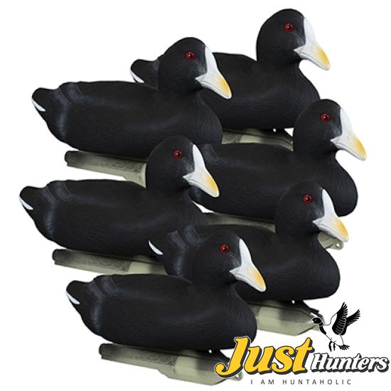 Higdon Foam Filled Coot Decoys 6 Pc