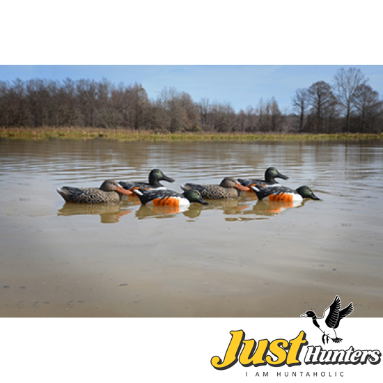 Higdon Foam Filled Shoveler Duck Decoys 6 Pc