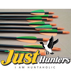6X Junxing 28 Inches Fiberglass Arrows 6X Junxing 28 Inches Fiberglass Arrows