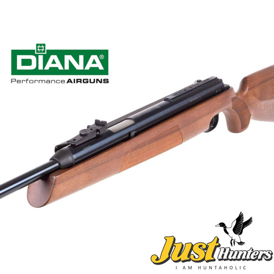 DIANA AIRGUN 54 AIRKING .22 Cal