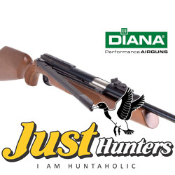 DIANA AIRGUN 54 AIRKING .22 Cal