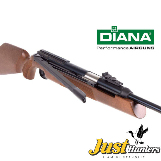 DIANA AIRGUN 54 AIRKING .22 Cal