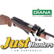 DIANA AIRGUN 54 AIRKING .22 Cal