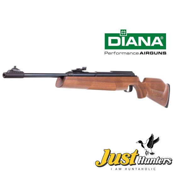 DIANA AIRGUN 54 AIRKING .22 Cal