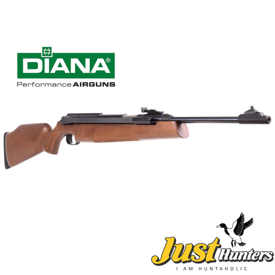 DIANA AIRGUN 54 AIRKING .22 Cal