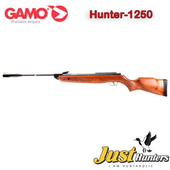 Gamo Hunter 1250 Airgun .22 Cal