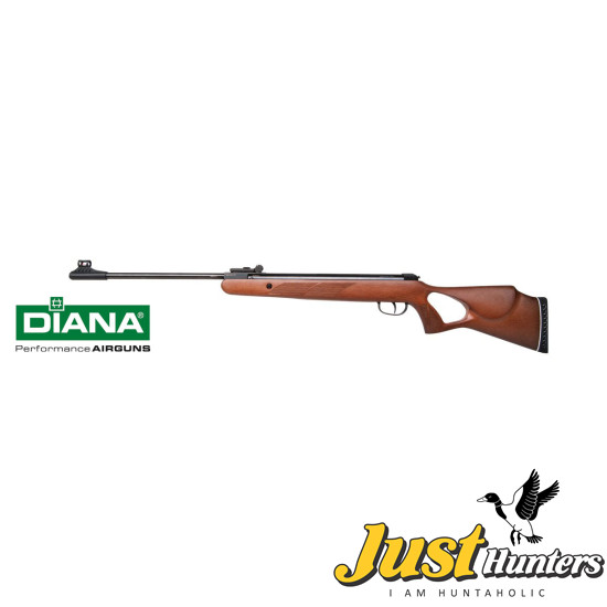 DIANA Two-Fifty .22 Cal