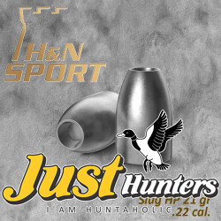 H&N Slug HP 21 gr .22 Cal. 