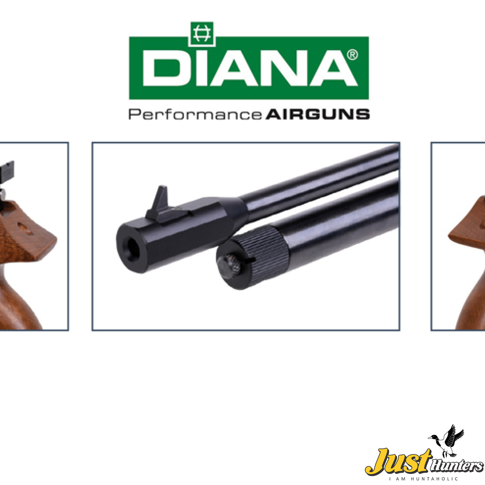 DIANA AIRBUG 5.5MM CO2 POWERED AIR PISTOL
