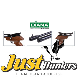 DIANA AIRBUG 5.5MM CO2 POWERED AIR PISTOL