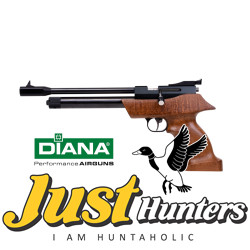DIANA AIRBUG 5.5MM CO2 POWERED AIR PISTOL