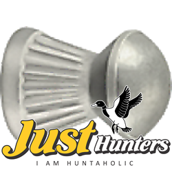 RWS SUPER DOME Field Line .22 Caliber Pellet 100 PC's