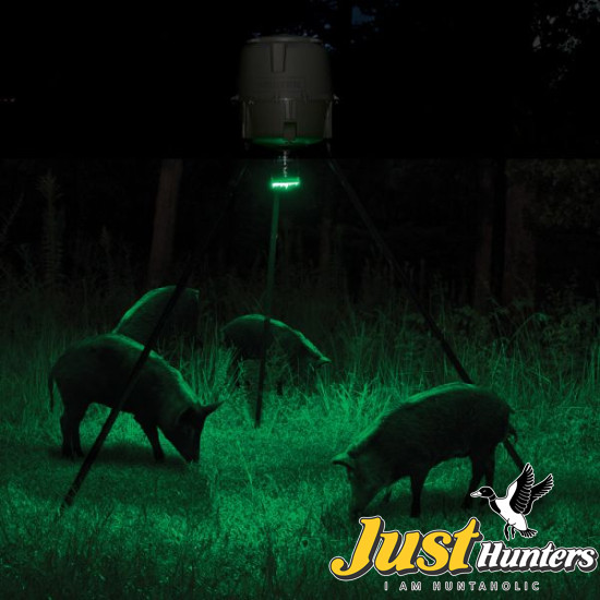 MOULTRIE Feeder Hog Light