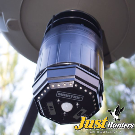 MOULTRIE Feeder Hog Light