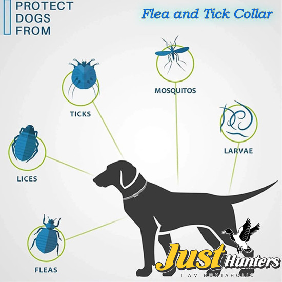 Flea and Tick Collar for Dogs Cats Natural Herbal Adjustable Waterproof