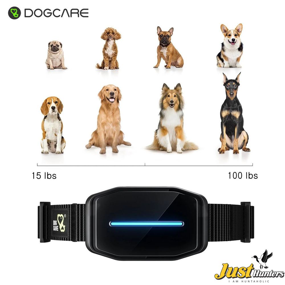 Dog care bark collar 2025