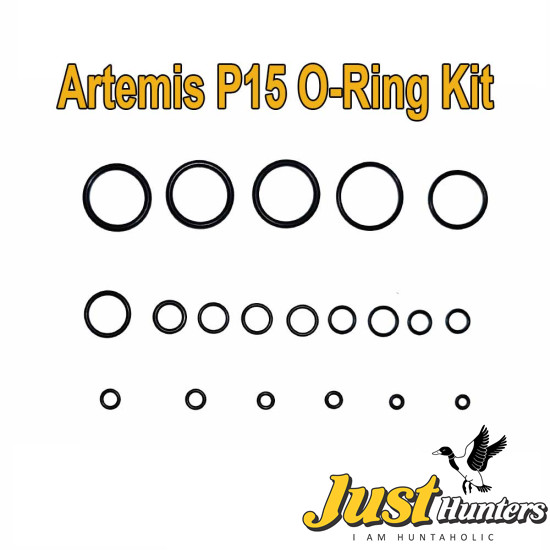 Artemis P15 PCP Airgun O Ring Kit Online Price in Pakistan
