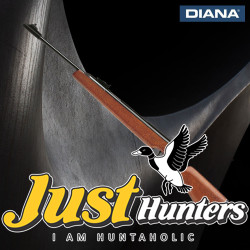 Diana Airgun Model 48 Side Lever .22 Cal.