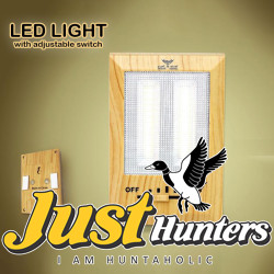 LED Light with Adjustable Switch