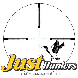 Veber Optics Scope Pneumatic II 3-9X40 AO RG Veber Optics Scope Pneumatic II 3-9X40 AO RG