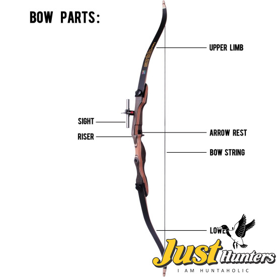 Sanlida Archery Noble Beginner & Intermediate Recurve Bow Kit International Version Sanlida Archery Noble Beginner & Intermediate Recurve Bow Kit International Version