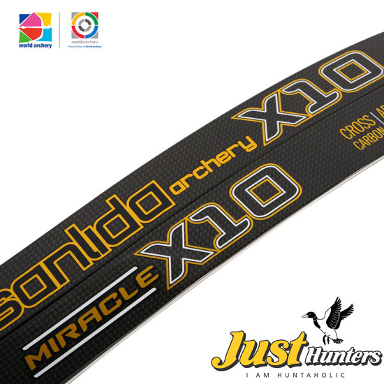 Sanlida Miracle X10 ILF Recurve Bow Limbs