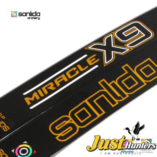 Sanlida Archery Miracle X9 Target Recurve Limbs