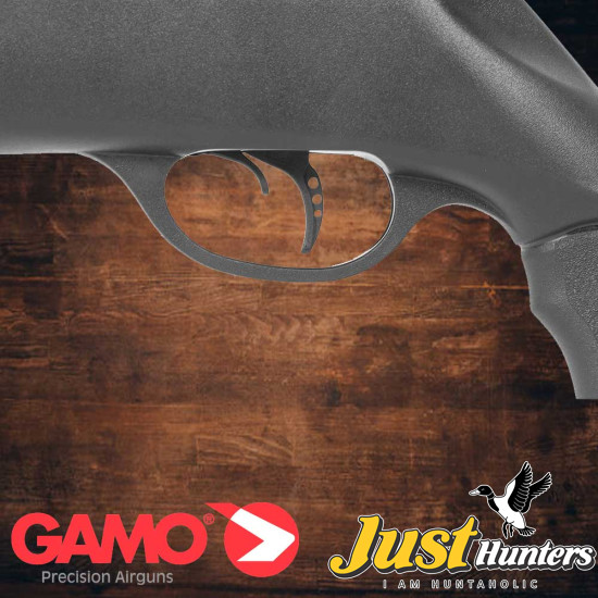 Gamo PCP Air Rifle Arrow .22 Cal Gamo PCP Air Rifle Arrow .22 Cal