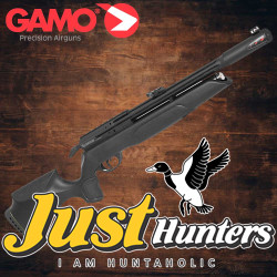 Gamo PCP Air Rifle Arrow .22 Cal Gamo PCP Air Rifle Arrow .22 Cal