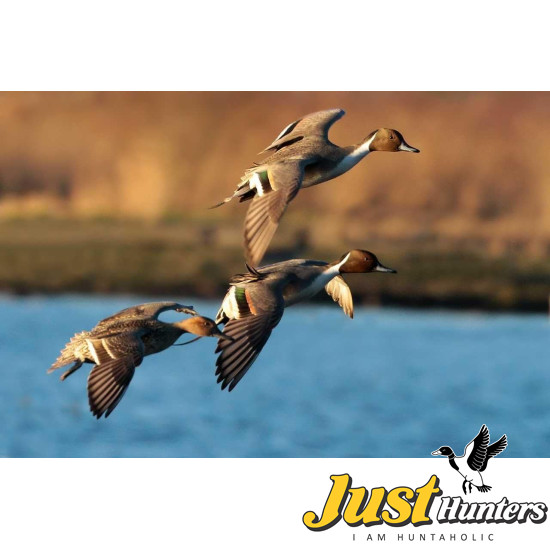 Primos Hunting High Roller Duck Call 838