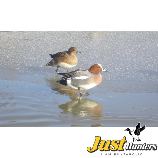Primos Hunting High Roller Duck Call 838
