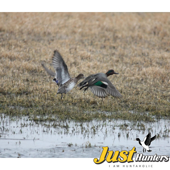 Primos Hunting High Roller Duck Call 838