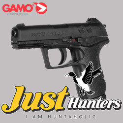 Gamo Air Pistol C-15 Blowback CO2 Powered Black