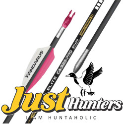 PANDARUS ARCHERY CA320 PRO ARROWS 12PCs PANDARUS ARCHERY CA320 PRO ARROWS 12PCs