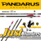 PANDARUS ARCHERY CA320 PRO ARROWS 12PCs