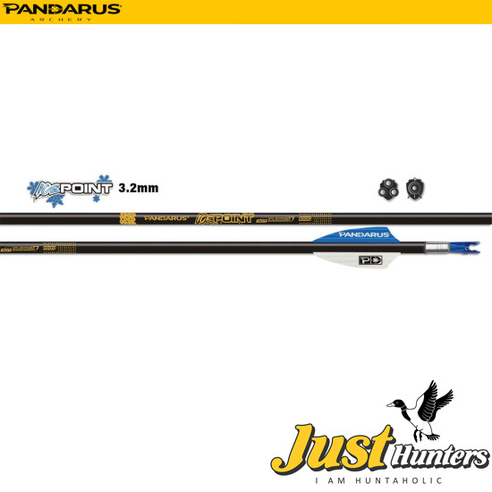 PANDARUS ARCHERY ICE POINT ARROWS