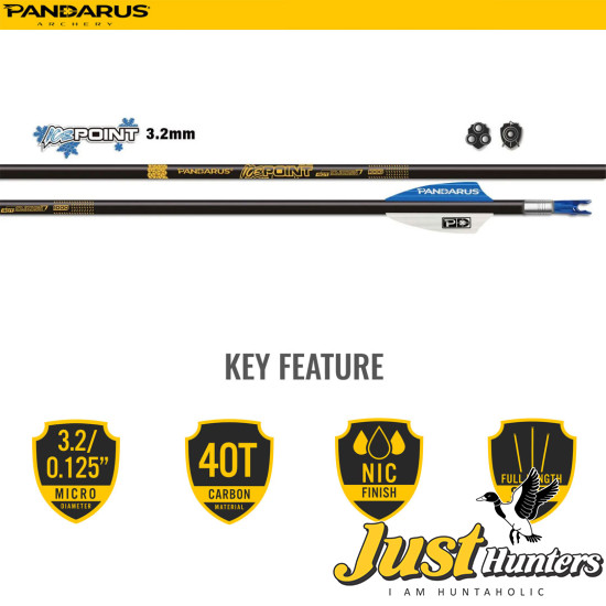 PANDARUS ARCHERY ICE POINT ARROWS