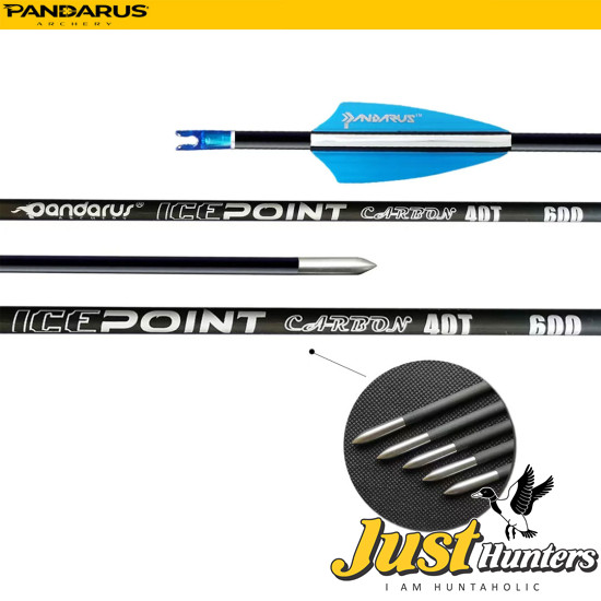 PANDARUS ARCHERY ICE POINT ARROWS
