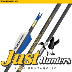 PANDARUS ARCHERY ICE POINT ARROWS 3.2MM 12PCs