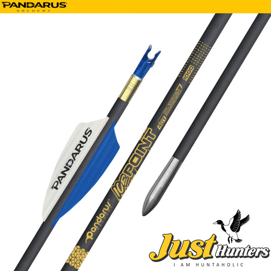 PANDARUS ARCHERY ICE POINT ARROWS