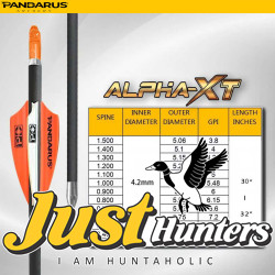PANDARUS ARCHERY ALPHA XT ARROWS 4.2MM 12PCs PANDARUS ARCHERY ALPHA XT ARROWS 4.2MM 12PCs