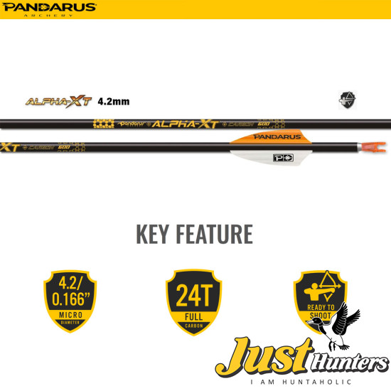 PANDARUS ARCHERY ALPHA XT ARROWS 4.2MM